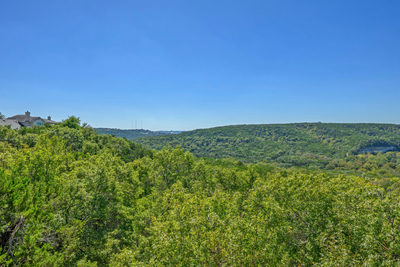 8802 Bluegrass Dr — photo 3