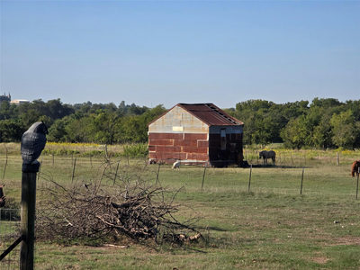 401 County Road 315 — photo 5