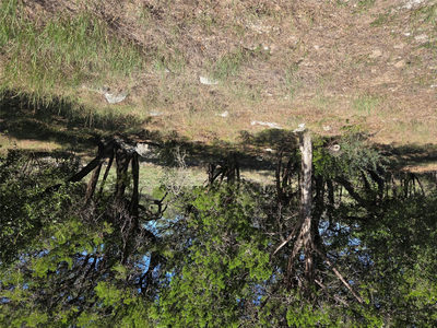 TBD Mountain Dew — photo 3