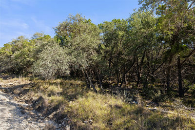 1770 Divide Pass — photo 2