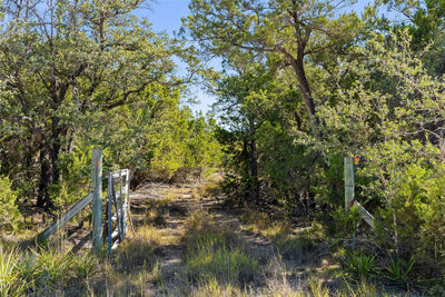 1770 Divide Pass — photo 4