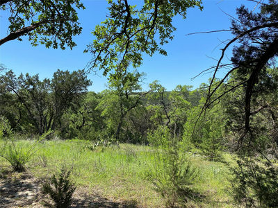 2934 Elm Terrace Ln — photo 5