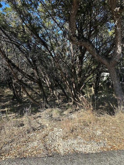 20700 Branding Iron — photo 4