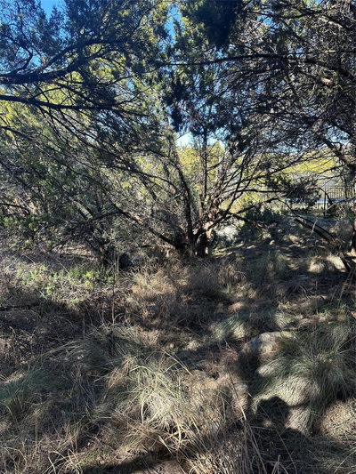 20700 Branding Iron — photo 5