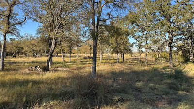 0000 Dickerson Ln — photo 2