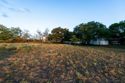 425 Seawillow Rd — photo 3