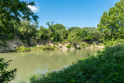 TBD 364 acres County Road 343 — photo 4
