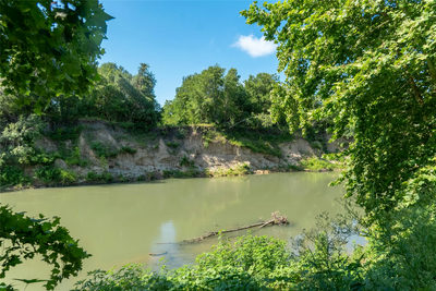 TBD 364 acres County Road 343 — photo 3