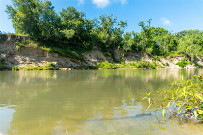 TBD 364 acres County Road 343 — photo 5