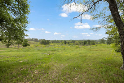 1515 Upper Elgin River Rd #2 — photo 3