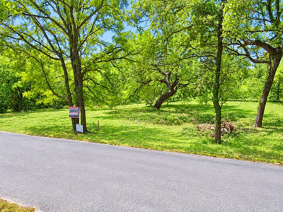 18311 Spring Ln — photo 3
