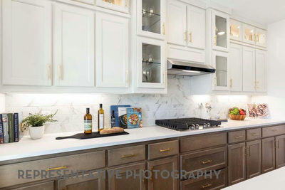 9608 Golden Lion Dr — photo 5