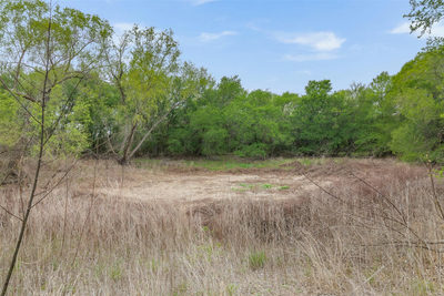 Tract 3 Lower Elgin Rd — photo 5