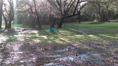 910 County Rd 226 — photo 4