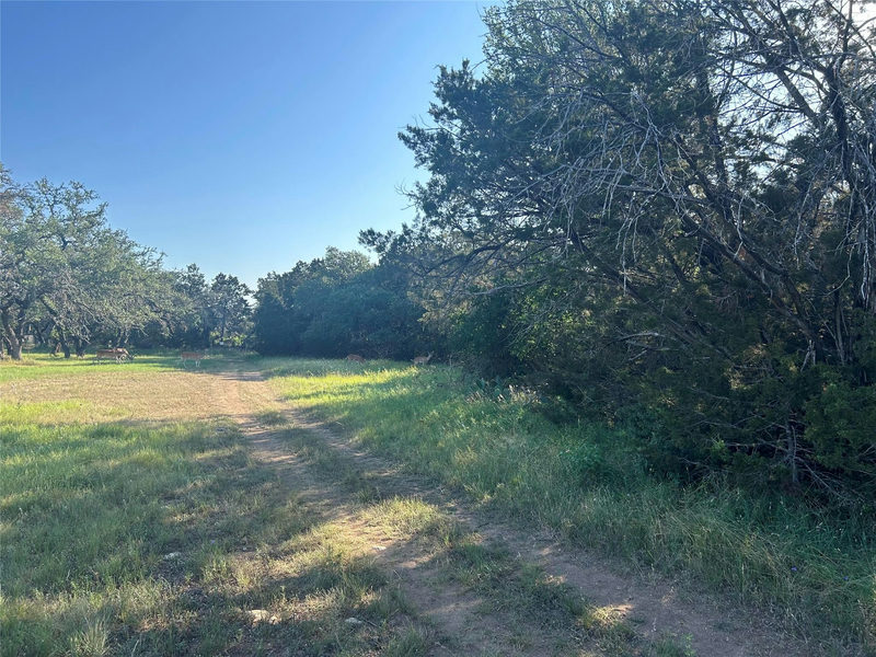 20804 Hawthorne Cv — exterior