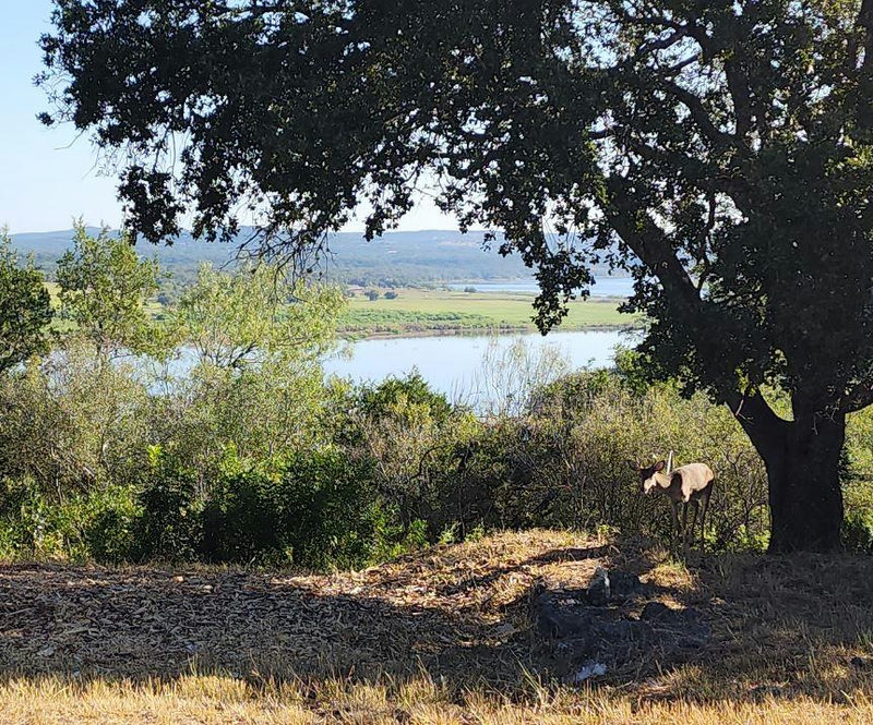 113 (Lot 3B) Hill Loop — exterior