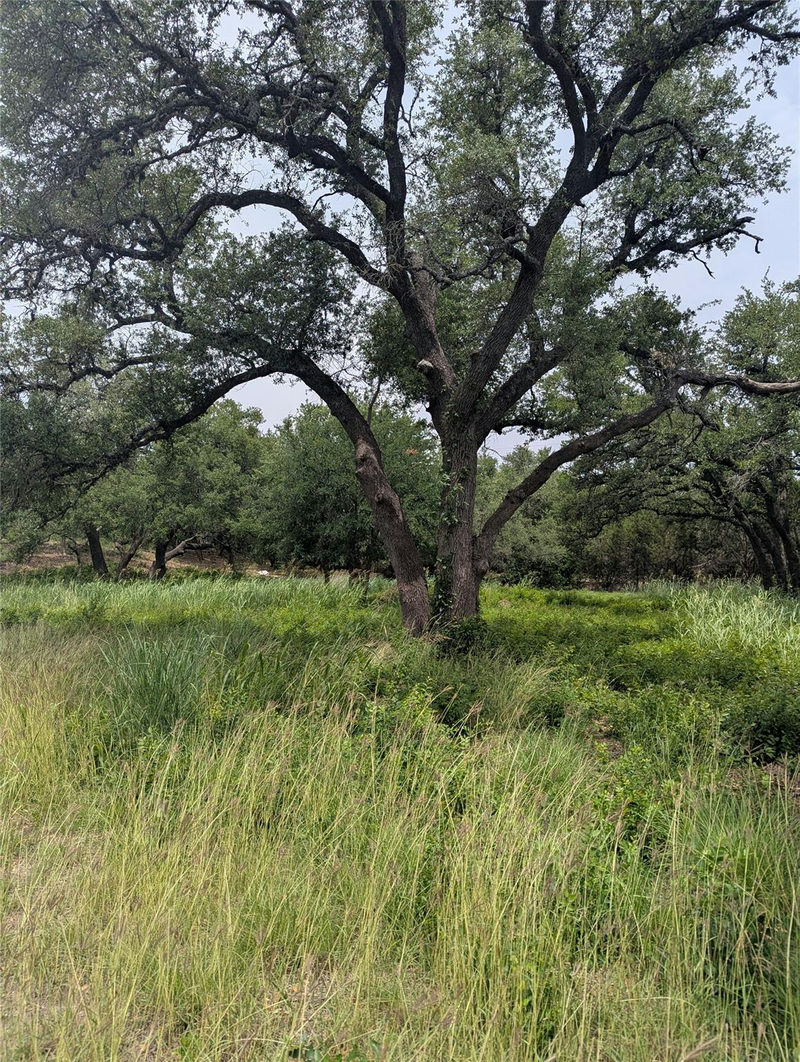 Lot 2 Hamilton Pool Rd