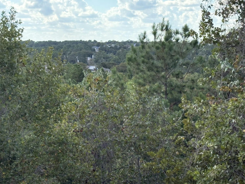TBD Lot 35 Pinecrest Dr — exterior