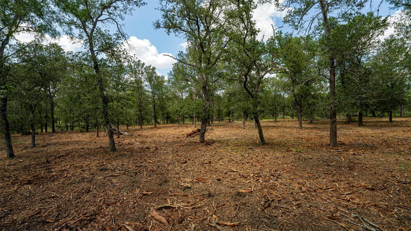 3980 (Tract 5) Fm 3158 — exterior