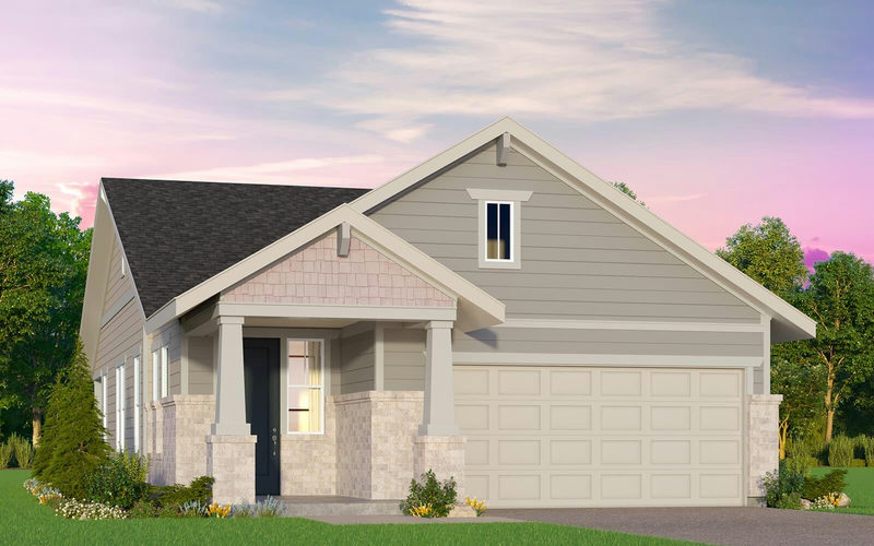 120 Desert Zinnia Cv — exterior