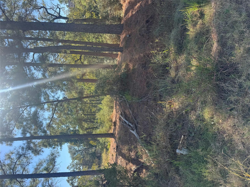 Lot 97 Kaelepulu Dr — exterior