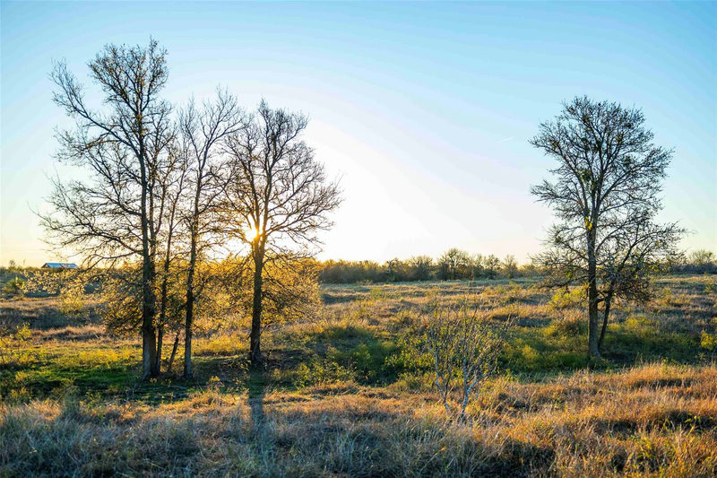 3191 County Road 463 — exterior