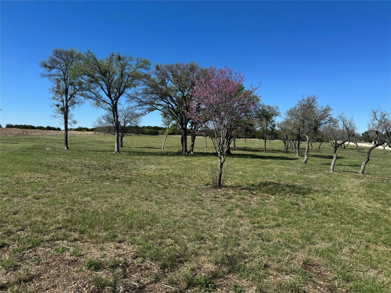 Tract 34 Burnet Oaks Dr — exterior