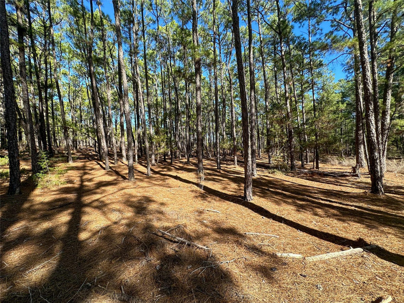 Lot 12 Hickory Ridge Dr — exterior