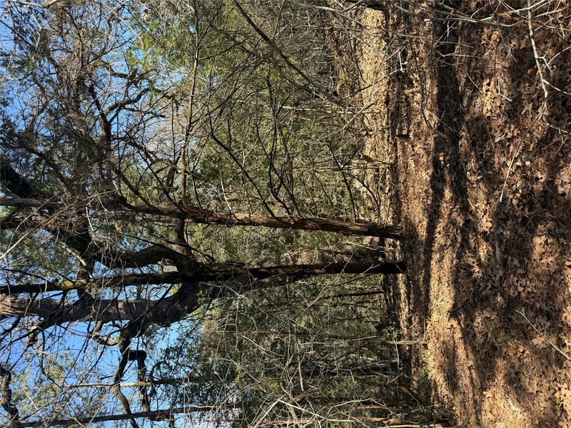 Lot 321 Keneka Ln — exterior