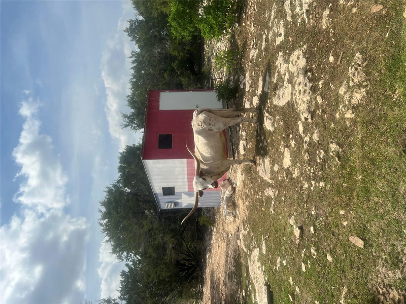 701 Grande St #B — exterior