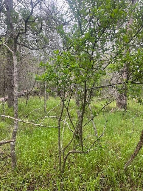 Lot 628 Hilea Ct — exterior