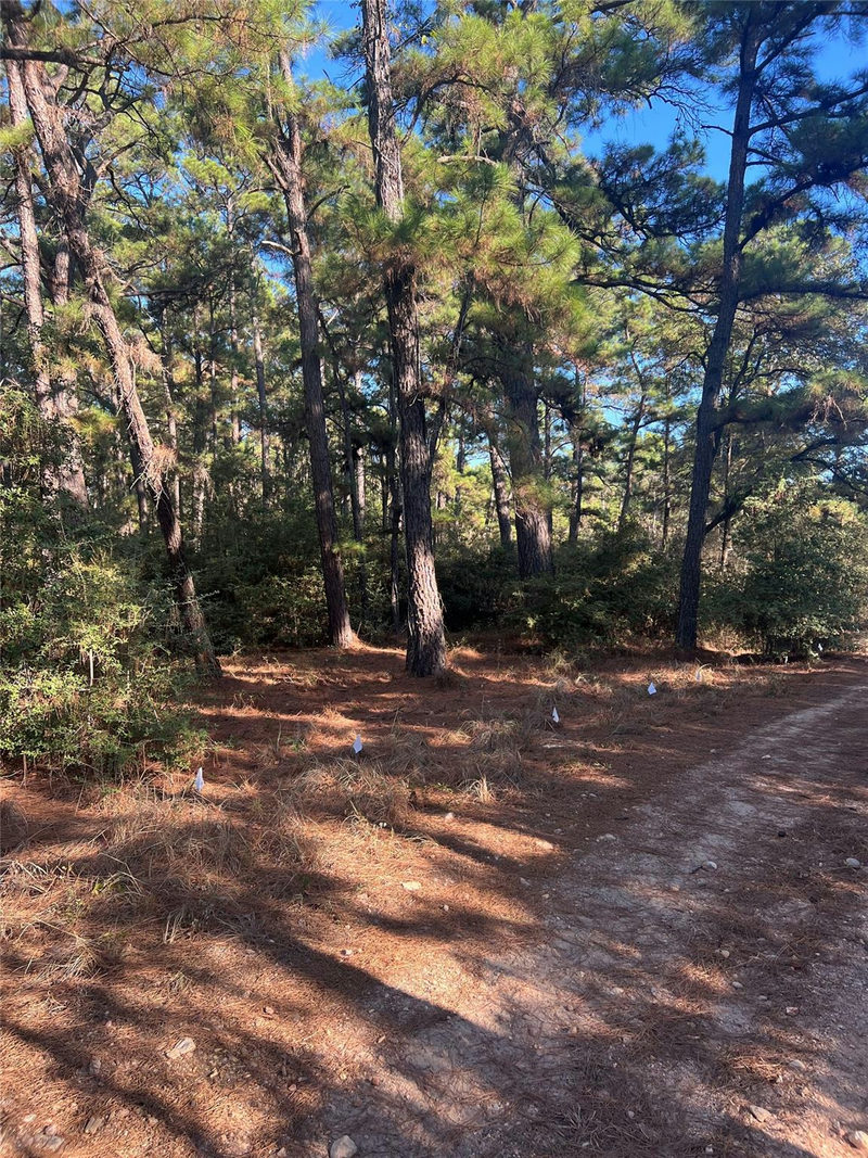TBD Pine Lodge Dr — exterior