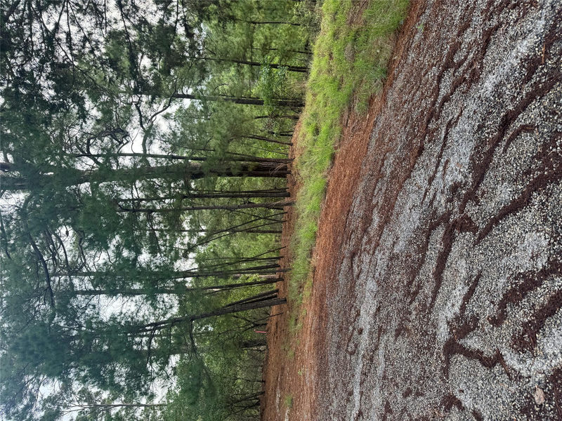 Lot 1492 Haleakala — exterior