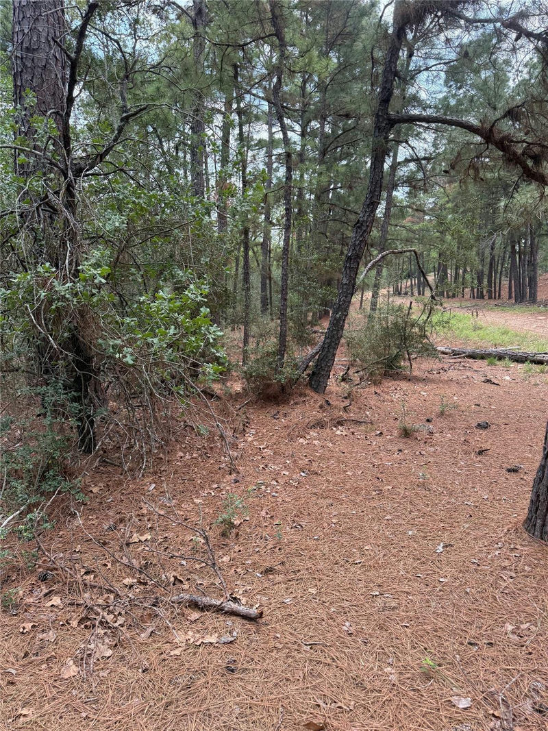 Lot 35 Tanglewood Dr — exterior