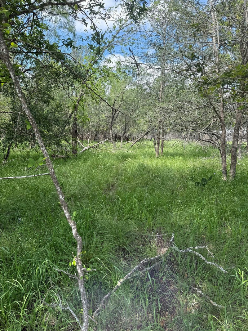 Lot 200 Nene Ln — exterior