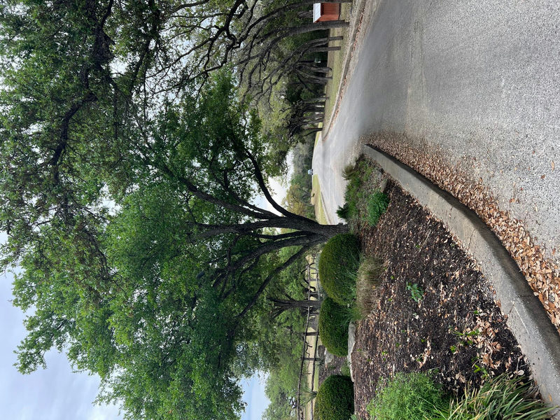 lot 67 Broken Spoke 5 Acres — exterior