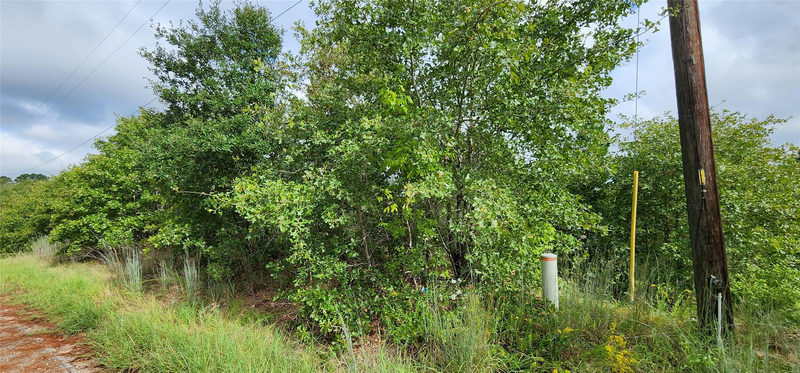 TBD Homonu (Lot 105) Ct — exterior