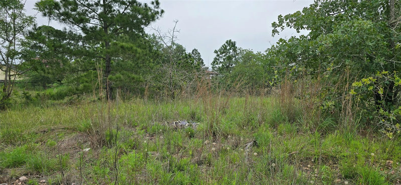 TBD (Lot 1195) Koolua Dr — exterior