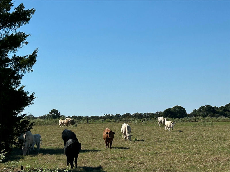 5.556 acres Farris Lane Ln — exterior