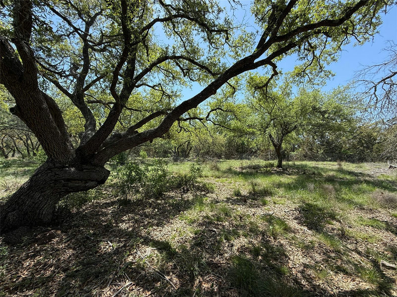 Lot 106 E Flying Owl Dr — exterior