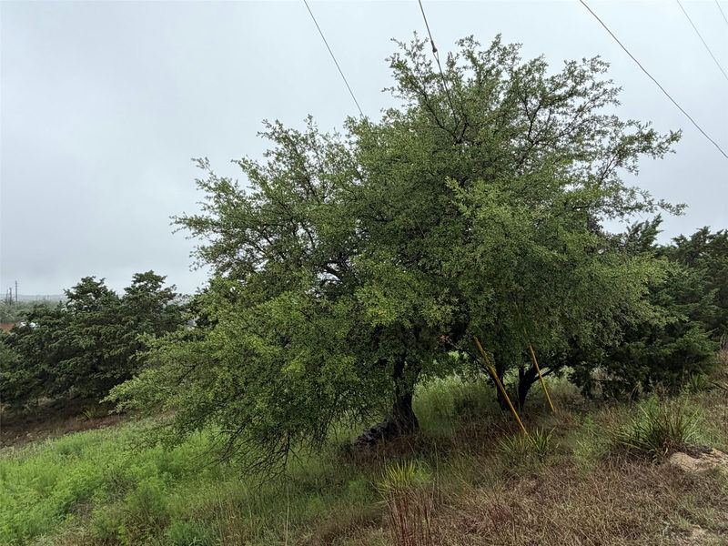 17408 Lake Wood Cir — exterior
