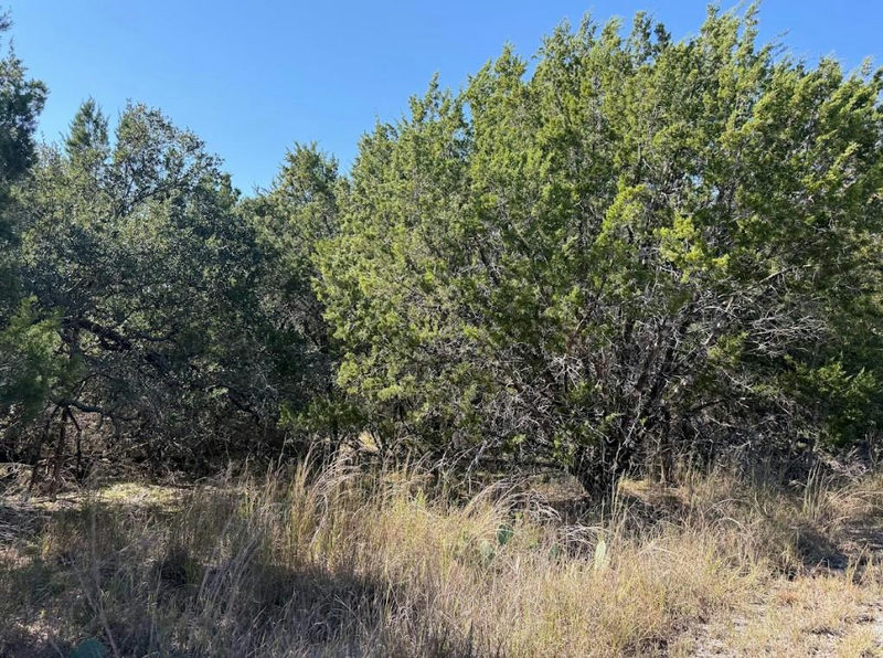 Lot K10037 Drew Drop — exterior