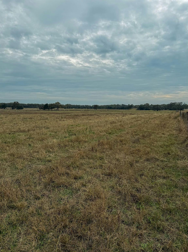 TBD Lot 3 HWY 304 — exterior