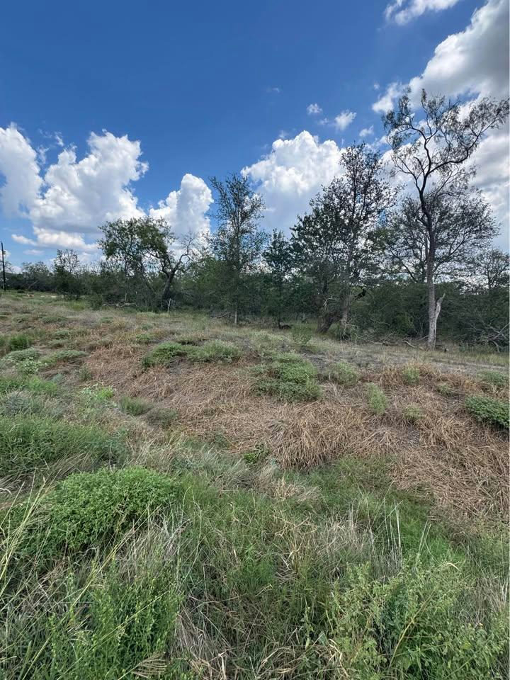 225 Brinley Mae Way — exterior