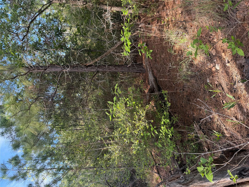 Lot 1384 Pahihi Dr — exterior