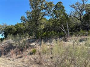 19001 Silver Maple Dr — exterior