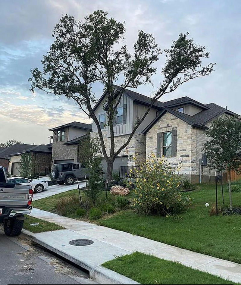 2017 Palmera Ridge Blvd 2017 Palmera Ridge Blvd Blvd — exterior