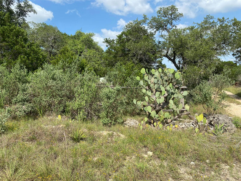 TBD Oak Meadow Lot #35 Ln — exterior