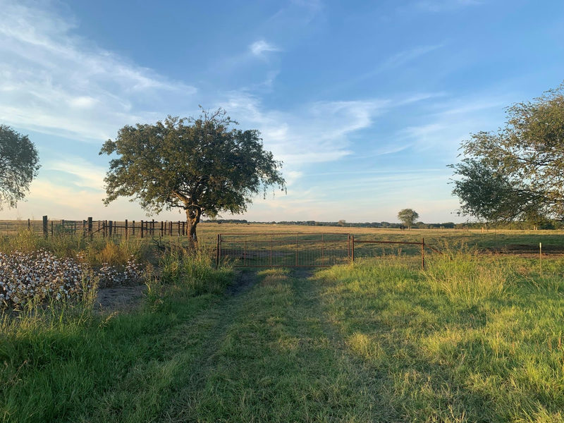 TBD2 County Road 154 — exterior