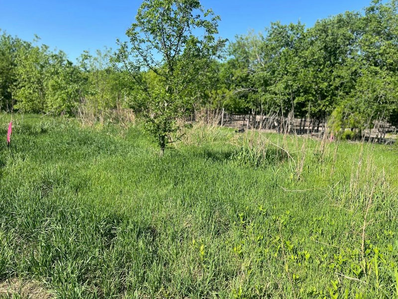 W Brook St(Lot #2, Bk 72) W Brook St — exterior